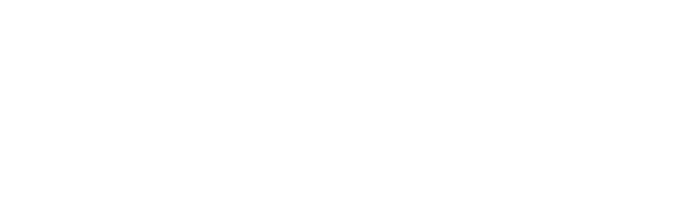 上海理日化工新材料有限公司